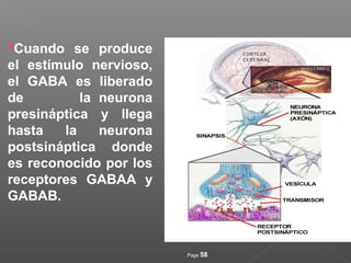 Page 58
Cuando se produce
el estímulo nervioso,
el GABA es liberado
de la neurona
presináptica y llega
hasta la neurona
postsináptica donde
es reconocido por los
receptores GABAA y
GABAB.
 