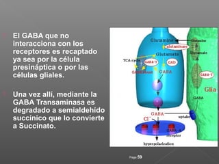 Page 59
 El GABA que no
interacciona con los
receptores es recaptado
ya sea por la célula
presináptica o por las
células gliales.
 Una vez allí, mediante la
GABA Transaminasa es
degradado a semialdehído
succínico que lo convierte
a Succinato.
 