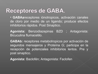 • GABAareceptores iónotropicos, activación canales
de cloro por medio de un ligando; produce efectos
inhibitorios rápidos. Post Sinaptico.
Agonista: Benzodiazepinas BZD ; Antagonista:
Bicuculina flumacetilo.
GABAb: receptores metabotropicos por activación de
segundos mensajeros y Proteína G; participa en la
recepción de potenciales inhibitorios lentos. Pre y
post sinaptico.
Agonista: Baclofén; Antagonista: Faclofen
 