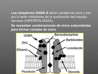 Page 63
 Los receptores GABA-A abren canales de cloro y son
por lo tanto inhibidores de la conducción del impulso
nervioso (HIPERPOLARIZA).
 Se necesitan combinaciones de cinco subunidades
para formar canales de cloro.
 