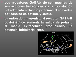  Los receptores GABAb ejercen muchas de
sus acciones ﬁsiológicas vía la modulación
del adenilato ciclasa o proteínas G activadas
por canales de potasio y calcio.
 La unión de un agonista al receptor GABA-B
postsináptico aumenta la salida de potasio
al medio extracelular produciendo un
potencial inhibitorio lento.
 