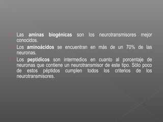  Las aminas biogénicas son los neurotransmisores mejor
conocidos.
 Los aminoácidos se encuentran en más de un 70% de las
neuronas.
 Los peptídicos son intermedios en cuanto al porcentaje de
neuronas que contiene un neurotransmisor de este tipo. Sólo poco
de estos péptidos cumplen todos los criterios de los
neurotransmisores.
 