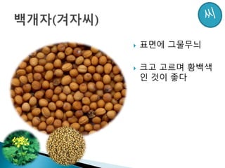  표면에 그물무늬
 크고 고르며 황백색
인 것이 좋다
 