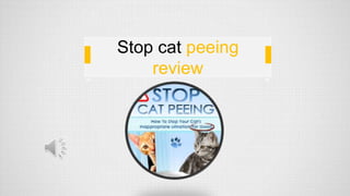 Stop cat peeing
review
 