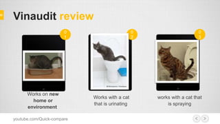 indoor cat peeing everywhere