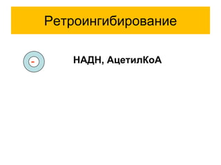 Ретроингибирование
НАДН, АцетилКоА-
 