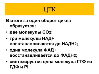 ЦТК
В итоге за один оборот цикла
образуется:
• две молекулы СО2;
• три молекулы НАД+
восстанавливаются до НАДН2;
• одна молекула ФAД+
восстанавливается до ФАДH2;
• синтезируется одна молекула ГТФ из
ГДФ и Pi.
 