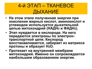 4-й ЭТАП – ТКАНЕВОЕ
ДЫХАНИЕ
• На этом этапе полученная энергия при
окислении жирных кислот, аминокислот и
углеводов используется дыхательной
цепью митохондрий (НАДН2 и ФАДН2).
• Этап нуждается в кислороде. На него
передаются электроны по электрон-
транспортной цепи. Кислород
восстанавливается, забирает из матрикса
протоны и образует Н2О.
• Протекает на внутренней мембране
митохондрий. Именно он сопровождается
наибольшим образованием энергии.
 