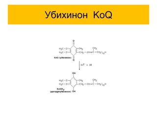 Убихинон KoQ
 