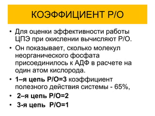 КОЭФФИЦИЕНТ P/O
• Для оценки эффективности работы
ЦПЭ при окислении вычисляют Р/О.
• Он показывает, сколько молекул
неорганического фосфата
присоединилось к АДФ в расчете на
один атом кислорода.
• 1–я цепь Р/О=3 коэффициент
полезного действия системы - 65%,
• 2–я цепь P/O=2
• 3-я цепь P/O=1
 