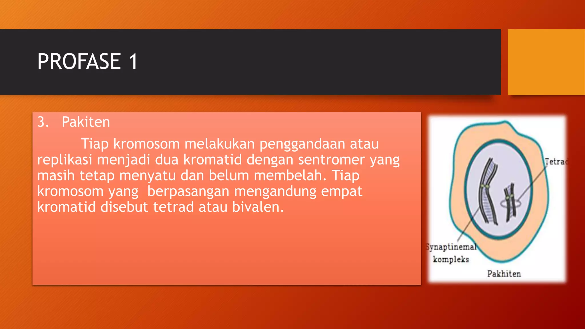 5. pembelahan meiosis | PPTX