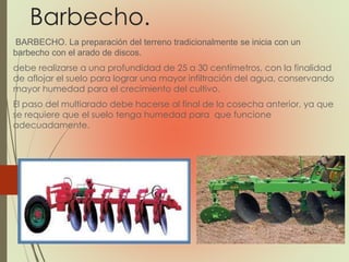 Barbecho.
BARBECHO. La preparación del terreno tradicionalmente se inicia con un
barbecho con el arado de discos.
debe realizarse a una profundidad de 25 a 30 centímetros, con la finalidad
de aflojar el suelo para lograr una mayor infiltración del agua, conservando
mayor humedad para el crecimiento del cultivo.
El paso del multiarado debe hacerse al final de la cosecha anterior, ya que
se requiere que el suelo tenga humedad para que funcione
adecuadamente.
 