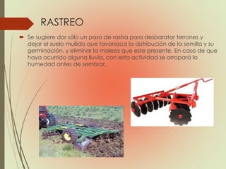 RASTREO
 Se sugiere dar sólo un paso de rastra para desbaratar terrones y
dejar el suelo mullido que favorezca la distribución de la semilla y su
germinación, y eliminar la maleza que este presente. En caso de que
haya ocurrido alguna lluvia, con esta actividad se arropará la
humedad antes de sembrar.
 