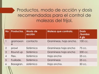 Productos, modo de acción y dosis
recomendadas para el control de
malezas del frijol.
No
.
Productos. Modo de
acción
Maleza que controla. Dosis
/bomba
4 gls
1 gramoxon
e
contacto Gramíneas, hoja ancha. 100 cc.
2 prowl Sistémico Gramíneas hoja ancha 75 cc.
3 Round up Sistémico Gramíneas hoja ancha 200 cc.
4 Flex. Sistémico Hoja ancha 25 cc.
5 Fusilade. Sistémico Gramíneas 25 cc.
6 Basagran. sistémico Hoja ancha. 50 cc.
 