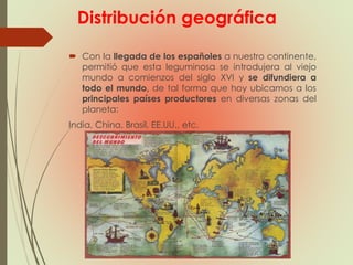 Distribución geográfica
 Con la llegada de los españoles a nuestro continente,
permitió que esta leguminosa se introdujera al viejo
mundo a comienzos del siglo XVI y se difundiera a
todo el mundo, de tal forma que hoy ubicamos a los
principales países productores en diversas zonas del
planeta:
India, China, Brasil, EE.UU., etc.
 