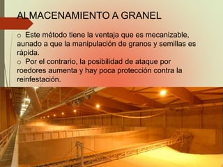 ALMACENAMIENTO A GRANEL
o Este método tiene la ventaja que es mecanizable,
aunado a que la manipulación de granos y semillas es
rápida.
o Por el contrario, la posibilidad de ataque por
roedores aumenta y hay poca protección contra la
reinfestación.
 