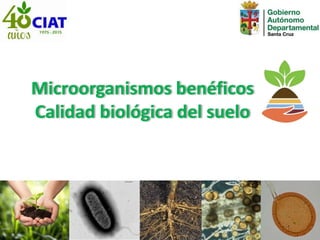 Microorganismos benéficos
Calidad biológica del suelo
 