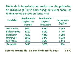 Efecto de la Inoculación en suelos con alta población
de rhizobios (4.7x104 bacterias/g de suelo) sobre los
rendimientos de soya en Santa Cruz
Localidad
Tres Cruces
Pailón Centro
Pailón Sur
Okinawa II
San Pedro
Rendimiento
(kg/ha) sin
inocular
3560
3120
4120
3640
3510
Rendimiento
(kg/ha)
inoculado
4420
3160
4820
3870
3620
Incremento
(kg/ha)
+ 860
+ 40
+ 700
+ 230
+ 110
Promedio 3443 3853 410
Incremento medio del rendimiento de soya 12 %
 