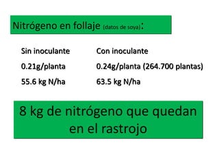 Nitrógeno en follaje (datos de soya):
Sin inoculante
0.21g/planta
55.6 kg N/ha
Con inoculante
0.24g/planta (264.700 plantas)
63.5 kg N/ha
8 kg de nitrógeno que quedan
en el rastrojo
 