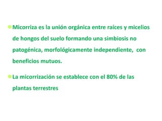 Micorriza es la unión orgánica entre raíces y micelios
de hongos del suelo formando una simbiosis no
patogénica, morfológicamente independiente, con
beneficios mutuos.
La micorrización se establece con el 80% de las
plantas terrestres
 
