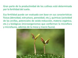 Gran parte de la productividad de los cultivos está determinada
por la fertilidad del suelo.
Esa fertilidad puede ser evaluada con base en sus características
físicas (densidad, estructura, porosidad, etc.), químicas (actividad
de las arcillas, potenciales de oxido-reducción, materia orgánica,
etc.) y biológicas (microorganismos que conforman la microflora
y microfauna, además de la meso y macro fauna).
 
