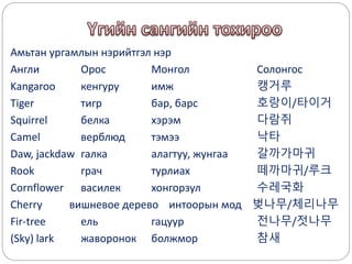 Амьтан ургамлын нэрийтгэл нэр
Англи Орос Монгол Солонгос
Kangaroo кенгуру имж 캥거루
Tiger тигр бар, барс 호랑이/타이거
Squirrel белка хэрэм 다람쥐
Camel верблюд тэмээ 낙타
Daw, jackdaw галка алагтуу, жунгаа 갈까가마귀
Rook грач турлиах 떼까마귀/루크
Cornflower василек хонгорзул 수레국화
Cherry вишневое дерево интоорын мод 벚나무/체리나무
Fir-tree ель гацуур 전나무/젓나무
(Sky) lark жаворонок болжмор 참새
 