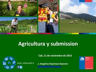 www. odepa.gob.cl
Agricultura y submission
Cali, 11 de noviembre de 2015
J. Angelina Espinoza Oyarzún
jespinoz@odepa.gob.cl
 