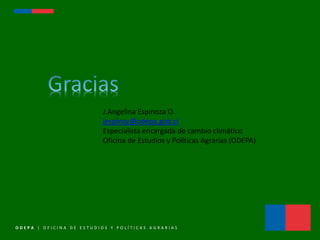 ODEPA - Agricultura y submission