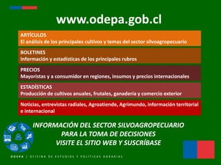 ODEPA - Agricultura y submission
