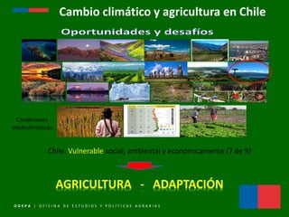 O D E P A | O F I C I N A D E E S T U D I O S Y P O L Í T I C A S A G R A R I A S
AGRICULTURA - ADAPTACIÓN
Cambio climátic...