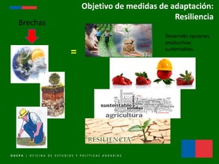 ODEPA - Agricultura y submission