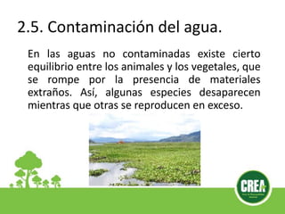 2.5. Contaminación del agua.
En las aguas no contaminadas existe cierto
equilibrio entre los animales y los vegetales, que
se rompe por la presencia de materiales
extraños. Así, algunas especies desaparecen
mientras que otras se reproducen en exceso.
 