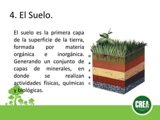 4. El Suelo.
El suelo es la primera capa
de la superficie de la tierra,
formada por materia
orgánica e inorgánica.
Generando un conjunto de
capas de minerales, en
donde se realizan
actividades físicas, químicas
y biológicas.
 