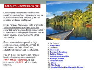 Los Parques Nacionales son áreas que
constituyen muestras representativas de
la diversidad natural del país y de sus
grandes unidades ecológicas.
En los Parques Nacionales está prohibido
todo aprovechamiento directo de los
recursos naturales con fines comerciales y
el asentamiento de grupos humanos que no
hayan ocupado ancestralmente estos
territorios.
En estas unidades se permite, bajo
condiciones especiales, la entrada de
visitantes con fines científicos,
educativos, recreativos y culturales.
Hoy en día el país cuenta con Parques
Nacionales que ocupan un área de
7’967, 119.03 hectáreas, lo que
representa el 6,22% del territorio
nacional.
1. De Cutervo
2. Tingo María
3. Del Manu
4. Huascarán
5. Cerros de Amotape
6. Del Río Abiseo
7. Yanachaga Chemillén
8. Bahuaja Sonene
9. Cordillera Azul
10. Otishi
11. Alto Purús
12. Ichigkat Muja - Cordillera del Cóndor
PARQUES NACIONALES (12)
 