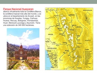 Parque Nacional Huascaran
abarca virtualmente toda la Cordillera Blanca,
la cordillera tropical más alta del mundo, y se
ubica en el departamento de Ancash, en las
provincias de Huaylas, Yungay, Carhuaz,
Huaraz, Recuay, Bolognesi, Pomabamba,
Huari, Mariscal Luzuriaga y Asunción. Tiene
una extensión de 340 000 hectáreas.
 