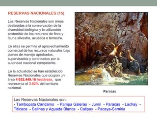 Las Reservas Nacionales son áreas
destinadas a la conservación de la
diversidad biológica y la utilización
sostenible de los recursos de flora y
fauna silvestre, acuática o terrestre.
En ellas se permite el aprovechamiento
comercial de los recursos naturales bajo
planes de manejo aprobados,
supervisados y controlados por la
autoridad nacional competente.
En la actualidad se han establecido
Reservas Nacionales que ocupan un
área 4’652,449.16 hectáreas, que
representa el 3.62% del territorio
nacional.
Las Reservas Nacionales son:
- Tambopata Candamo - Pampa Galeras - Junín - Paracas - Lachay -
Titicaca - Salinas y Aguada Blanca - Calipuy - Pacaya-Samiria
Paracas
RESERVAS NACIONALES (15)
 