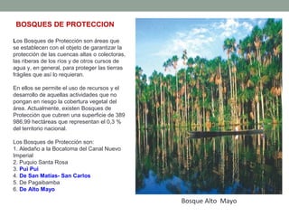 Los Bosques de Protección son áreas que
se establecen con el objeto de garantizar la
protección de las cuencas altas o colectoras,
las riberas de los ríos y de otros cursos de
agua y, en general, para proteger las tierras
frágiles que así lo requieran.
En ellos se permite el uso de recursos y el
desarrollo de aquellas actividades que no
pongan en riesgo la cobertura vegetal del
área. Actualmente, existen Bosques de
Protección que cubren una superficie de 389
986,99 hectáreas que representan el 0,3 %
del territorio nacional.
Los Bosques de Protección son:
1. Aledaño a la Bocatoma del Canal Nuevo
Imperial
2. Puquio Santa Rosa
3. Pui Pui
4. De San Matías- San Carlos
5. De Pagaibamba
6. De Alto Mayo
Bosque Alto Mayo
BOSQUES DE PROTECCION
 