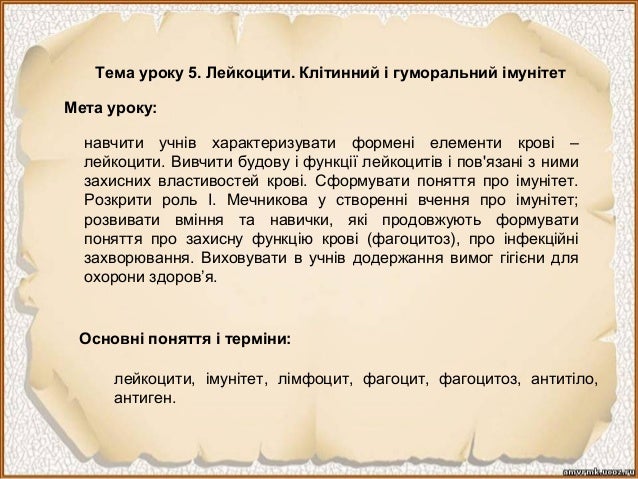 Урок 5. Лейкоцити