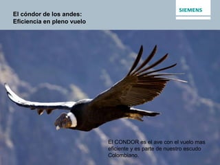 unrestricted / © Siemens AG 2014. All Rights Reserved.
Page 14
El cóndor de los andes:
Eficiencia en pleno vuelo
El CONDOR...