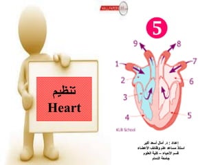 ‫تنظيم‬
Heart

 