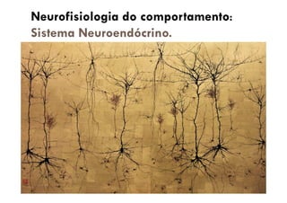 Neurofisiologia do comportamento:
Sistema Neuroendócrino.
 