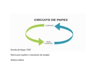 Circuito de Papez 1937
Teoria para explicar o mecanismo da emoção
Sistema Límbico
 