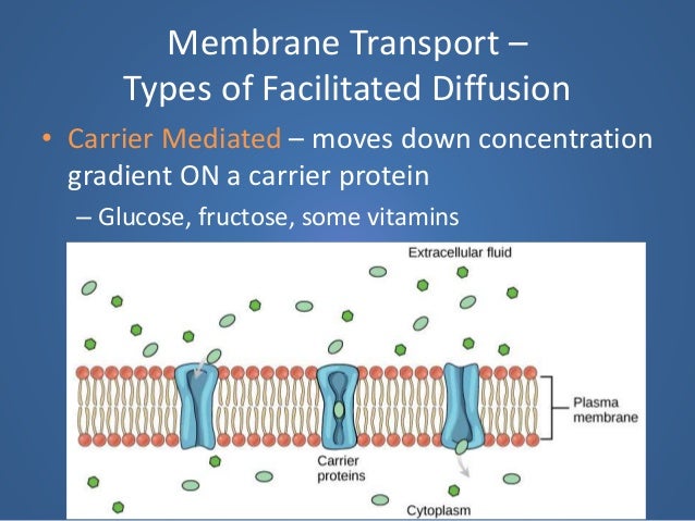 5. Cell Membrane and Membrane Transport
