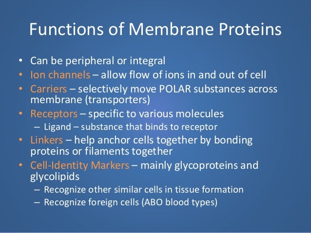 5. Cell Membrane and Membrane Transport types of bonding diagram 