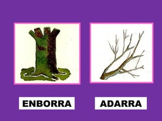 ENBORRA ADARRA
 