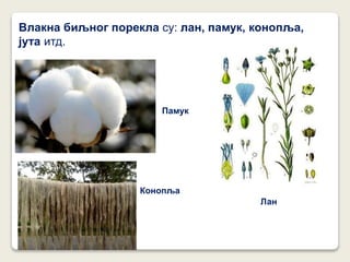 Влакна биљног порекла су: лан, памук, конопља,
јута итд.
Памук
Конопља
Лан
 
