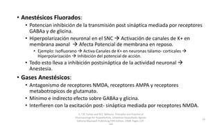 • Anestésicos Fluorados:
• Potencian inhibición de la transmisión post sináptica mediada por receptores
GABAa y de glicina.
• Hiperpolarización neuronal en el SNC  Activación de canales de K+ en
membrana axonal  Afecta Potencial de membrana en reposo.
• Ejemplo: Isofluorano  Activa Canales de K+ en neuronas tálamo- corticales 
Hiperpolarización  Inhibición del potencial de acción.
• Todo esto lleva a inhibición postsináptica de la actividad neuronal 
Anestesia.
• Gases Anestésicos:
• Antagonismo de receptores NMDA, receptores AMPA y receptores
metabotropicos de glutamato.
• Mínimo e indirecto efecto sobre GABAa y glicina.
• Interfieren con la excitación post- sináptica mediada por receptores NMDA.
1. T.N. Calvey and N.E. Williams. Principles and Practice of
Pharmacology for Anaesthetists. Inhalation Anaesthetic Agents.
Editorial Blackwell Publishing Fifth Edition. 2008. Pages 129 -
13
 