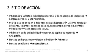 3. SITIO DE ACCIÓN
• Inhalados Afectan excitación neuronal y conducción de impulsos 
Corteza cerebral y SN Periférico.
• Múltiples acciones en diferentes sitios sinápticos  Sistema reticular
activante, talamos, ganglios basales, hipocampo, cerebelo, centros
medulares y vías motoras de la ME.
• Inhibición de la excitabilidad y neuronas espinales motoras 
Analgesia.
• Efectos en hipocampo y sistema límbico  Amnesia.
• Efectos en tálamo Inconsciencia.
1. T.N. Calvey and N.E. Williams. Principles and Practice of Pharmacology for Anaesthetists. Inhalation Anaesthetic
Agents. Editorial Blackwell Publishing Fifth Edition. 2008. Pages 129 - 149.
16
 
