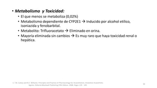 • Metabolismo y Toxicidad:
• El que menos se metaboliza (0,02%)
• Metabolismo dependiente de CYP2E1  Inducido por alcohol etílico,
isoniazida y fenobarbital.
• Metabolito: Trifluoracetato  Eliminado en orina.
• Mayoría eliminada sin cambios  Es muy raro que haya toxicidad renal o
hepática.
1. T.N. Calvey and N.E. Williams. Principles and Practice of Pharmacology for Anaesthetists. Inhalation Anaesthetic
Agents. Editorial Blackwell Publishing Fifth Edition. 2008. Pages 129 - 149.
46
 