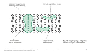 1. T.N. Calvey and N.E. Williams. Principles and Practice of Pharmacology for Anaesthetists. Inhalation Anaesthetic Agents.
Editorial Blackwell Publishing Fifth Edition. 2008. Pages 129 - 149.
8
 